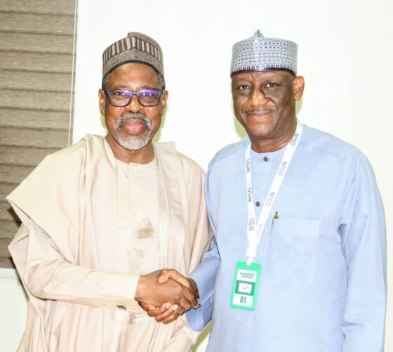 NEMSA and NISO Forge Strategic Alliance to Tackle Safety, Standards and Metering Challenges in Nigeria’s Power Sector