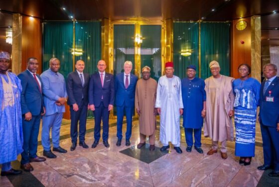 President Tinubu Reviews Progress of the Presidential Power Initiative (PPI)